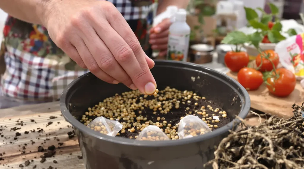 Potager : ces 11 gestes à faire avant fin avril pour enfin réussir vos semis de printemps